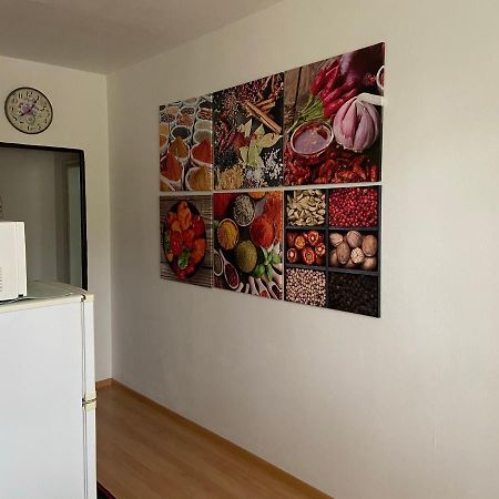 Apartment Fialka Оломоуц Экстерьер фото